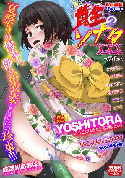 【辱め】黄金のソナタXXXその二十❤YOSHITORA