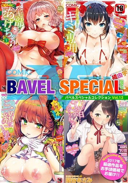 【単行本】COMIC BAVEL SPECIAL COLLECTION（コミックバベル スペシャルコレクション） VOL12❤美矢火