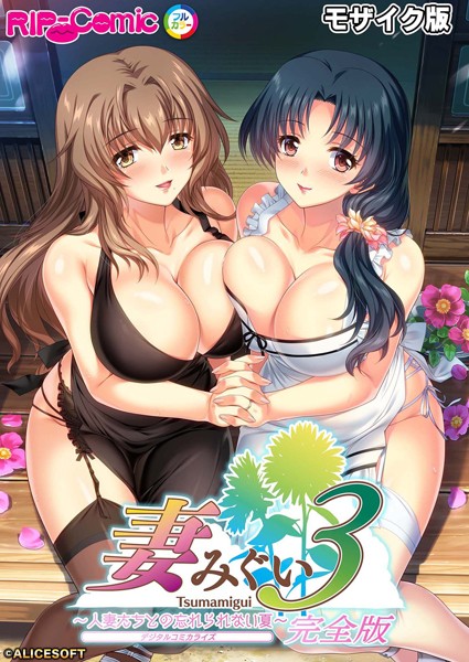 【単行本】妻みぐい3 〜人妻たちとの忘れられない夏〜 デジタルコミカライズ モザイク版【完全収録】❤BENETTY