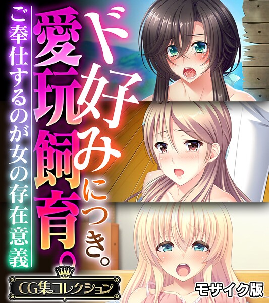 【フルカラー】ド好みにつき。愛玩飼育。 〜ご奉仕するのが女の存在意義〜【CG集コレクション】 モザイク版❤大人のSEXY絵本
