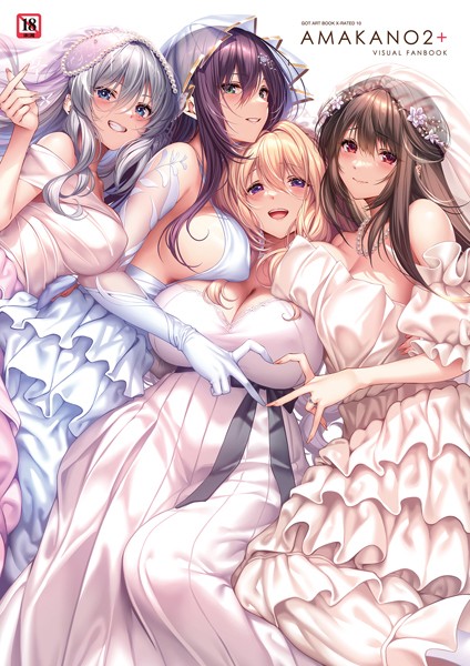 【イラスト・CG集】アマカノ2＋ ビジュアルファンブック❤ピロ水